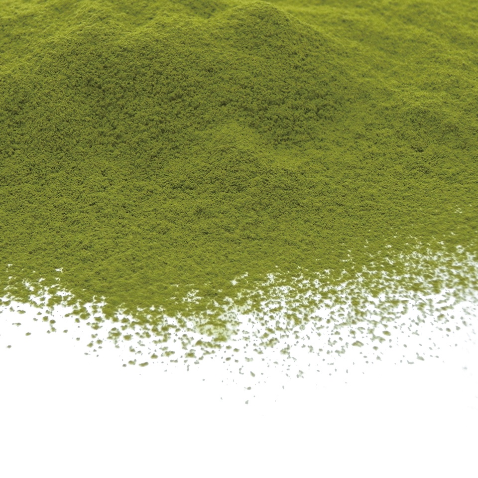 sencha powder matcha